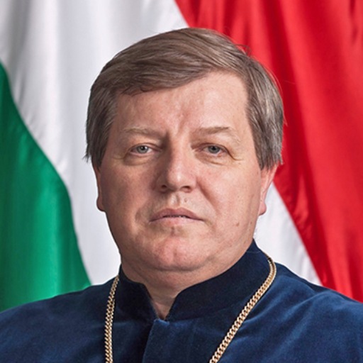 Istvan_Stumpf (1)